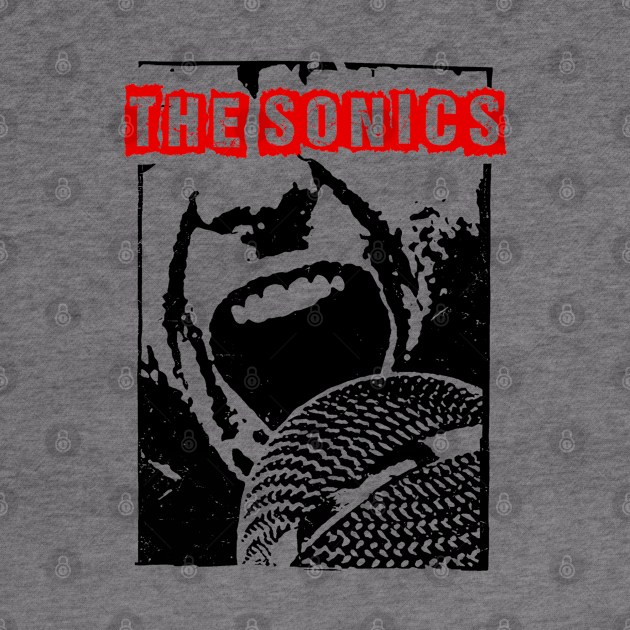 the sonics ll rock and scream by pixel agency